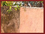 nettoyage_muret